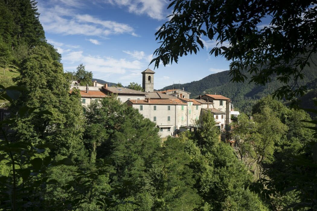 Una Camminata Cullati dalla Natura di Orsigna, il Borgo di Tiziano Terzani desktop picture