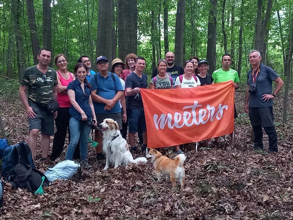 Il Parco di Appiano Gentile: Passeggiata sulle tracce degli animali desktop picture