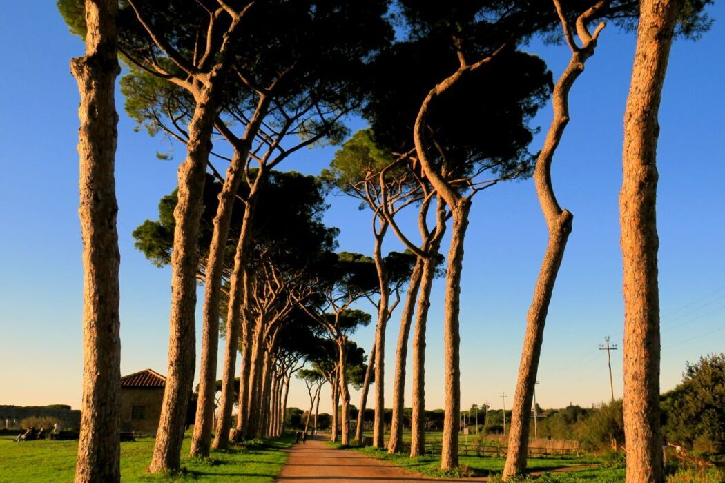 Uscita Interattiva in Inglese: Visita al Parco degli Acquedotti di Roma desktop picture