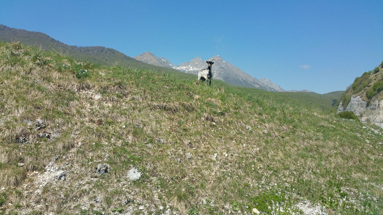 Piancavallo: Un Trekking Panoramico desktop picture