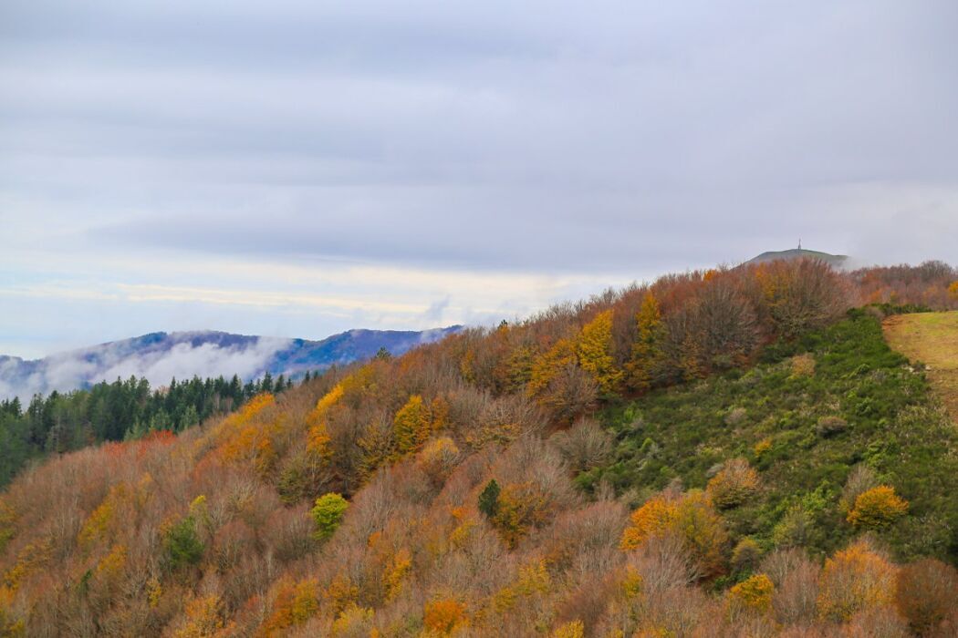 Prati di Dietro: Passeggiata nei Luoghi Segreti dei Ghiri desktop picture