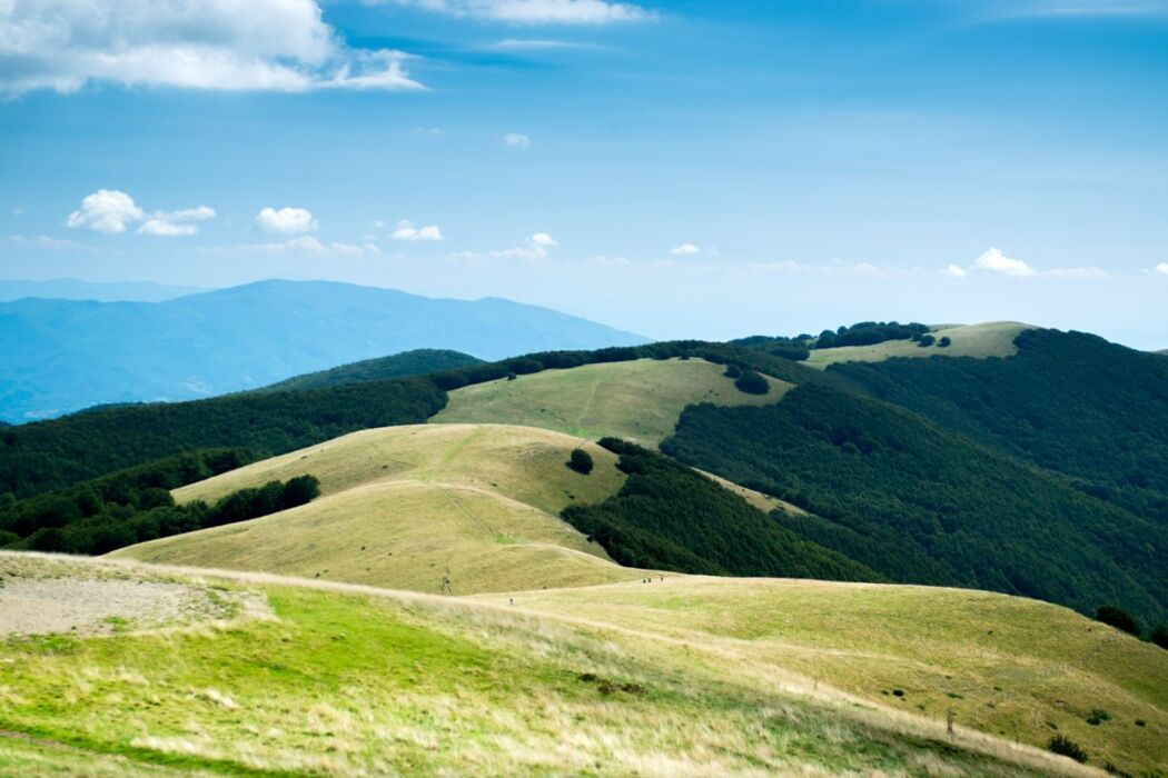 Prati di Dietro: Passeggiata nei Luoghi Segreti dei Ghiri desktop picture