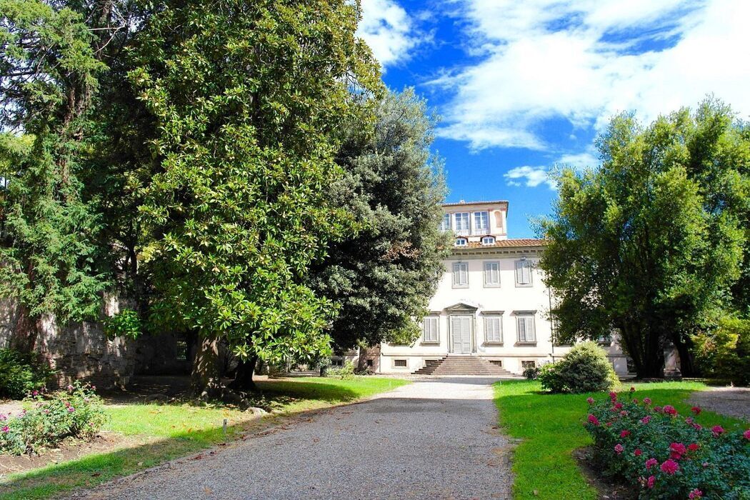 Il Verde di Lucca: Visita Guidata a Parchi e Giardini desktop picture