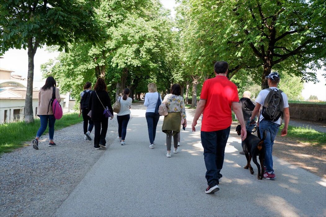 Il Verde di Lucca: Visita Guidata a Parchi e Giardini desktop picture