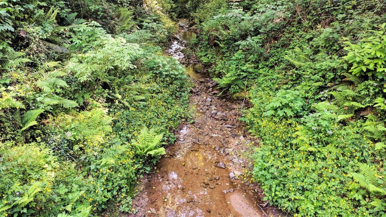 Trekking del Ghibellino: Percorso tra Storia e Panorami Toscani desktop picture