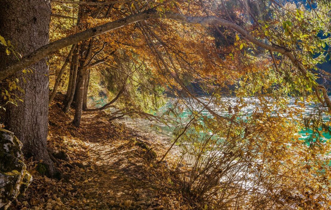 Incontriamoci al Lago di Tovel: Trekking e Foliage desktop picture