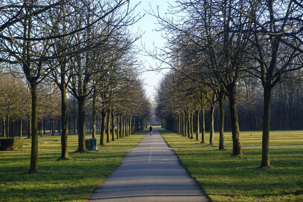 Passeggiata nel Parco Nord Milano: la mostra immersiva Dentro le Foreste desktop picture