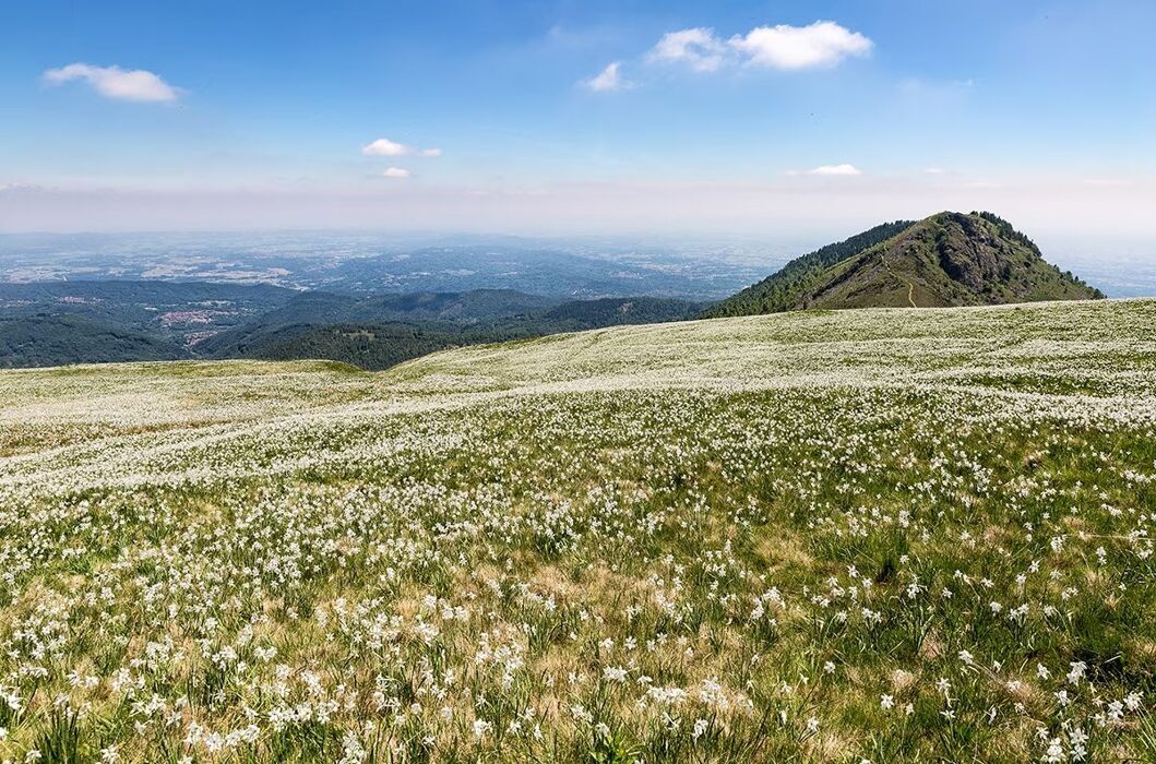 Escursione Crepuscolare in Alto Piemonte in direzione del Pian delle Nere desktop picture