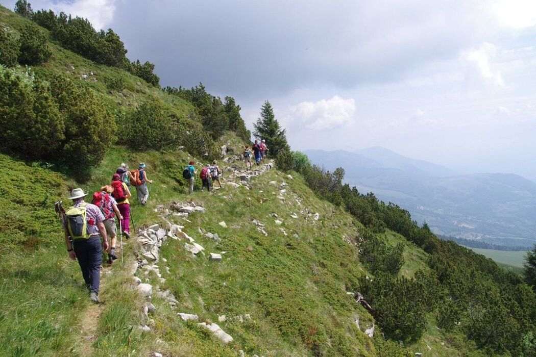 Trekking al rifugio Telegrafo attraverso il sentiero della Pastora desktop picture