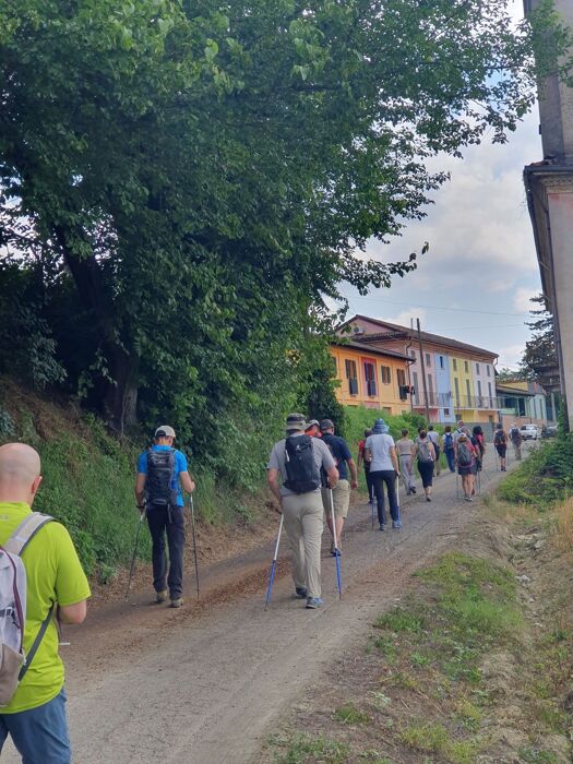 Trekking ad anello tra i boschi del Marchesato di Incisa desktop picture