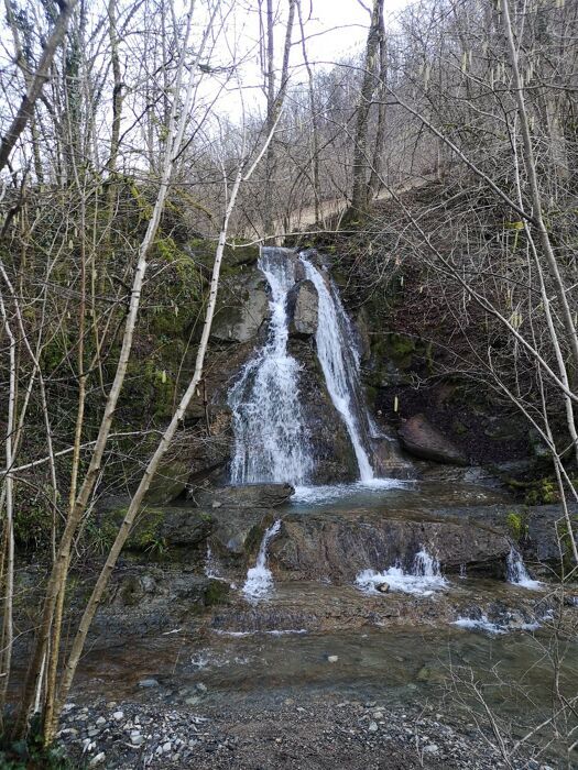 Escursione nella valle del Giongo: un tuffo nella Biodiversità desktop picture