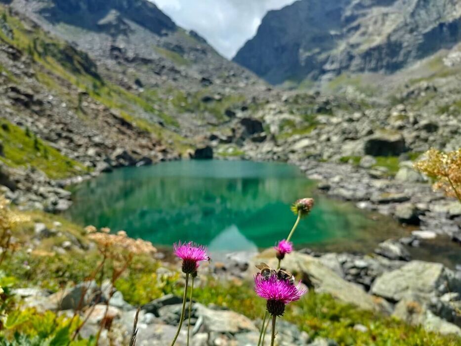 Giro ad anello ai Laghi Verdi e al Lago Paschiet desktop picture