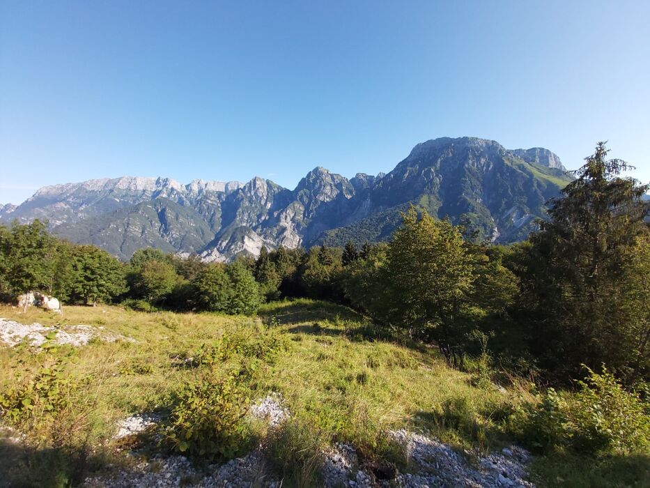 Malga Fara: facile trekking e merenda in malga con prodotti tipici desktop picture