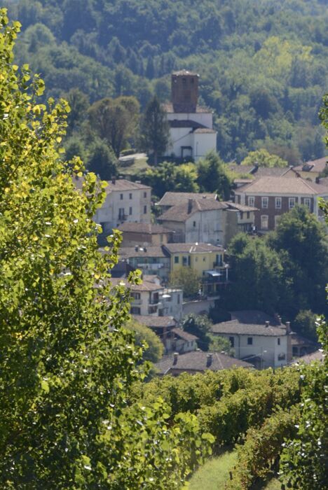 Cammini del Romanico: Prima Tappa tra sacro e natura a Castelnuovo Don Bosco desktop picture