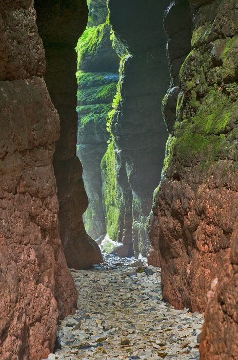 La suggestiva Valle dei Mulini e il Canyon del Buso con tappa in malga desktop picture