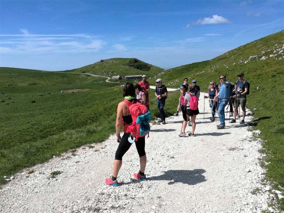 Trekking verso la cima più alta della Lessinia, Vallon Malera e la Bella Lasta desktop picture