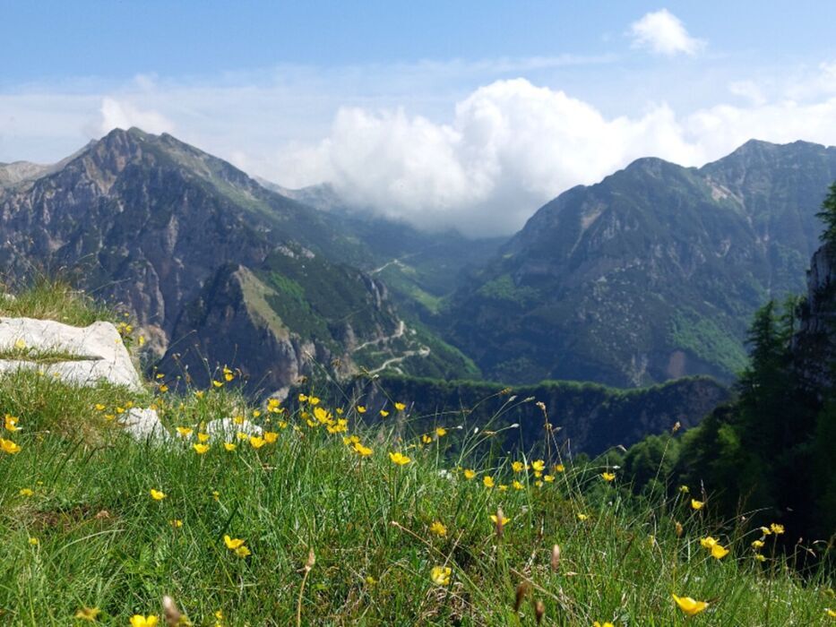 Trekking verso la cima più alta della Lessinia, Vallon Malera e la Bella Lasta desktop picture