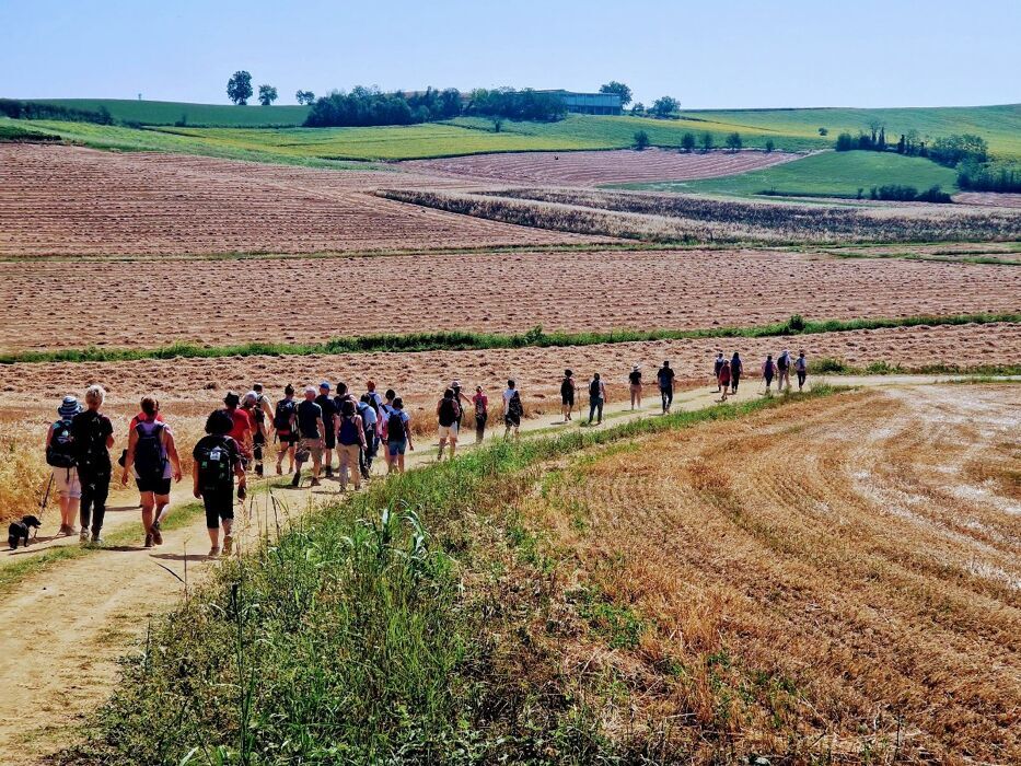 Percorso Pellizziano Volpedo: Trekking tra Arte, Natura e Storia desktop picture