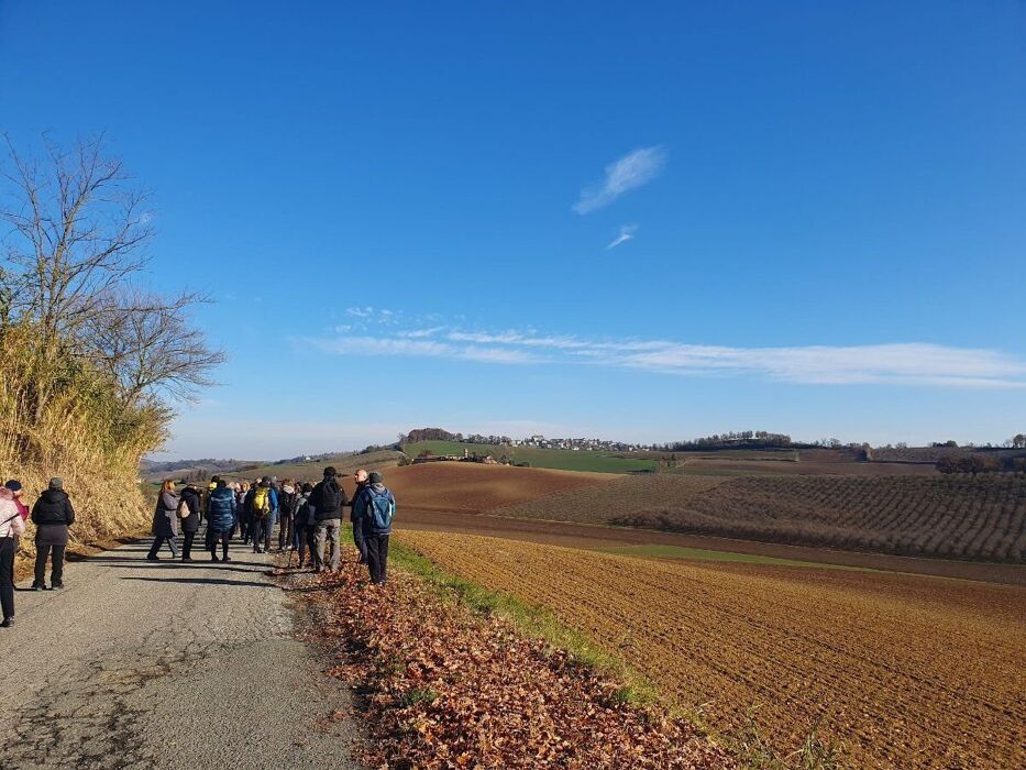 Escursione nel Monferrato Astigiano: tra boschi, noccioleti e vino desktop picture