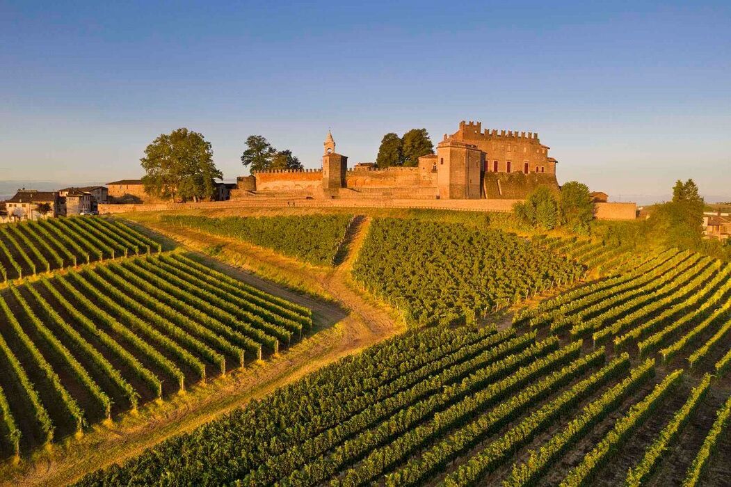 Escursione nel Monferrato Astigiano: tra boschi, noccioleti e vino desktop picture