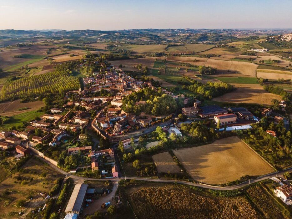 Escursione nel Monferrato Astigiano: tra boschi, noccioleti e vino desktop picture