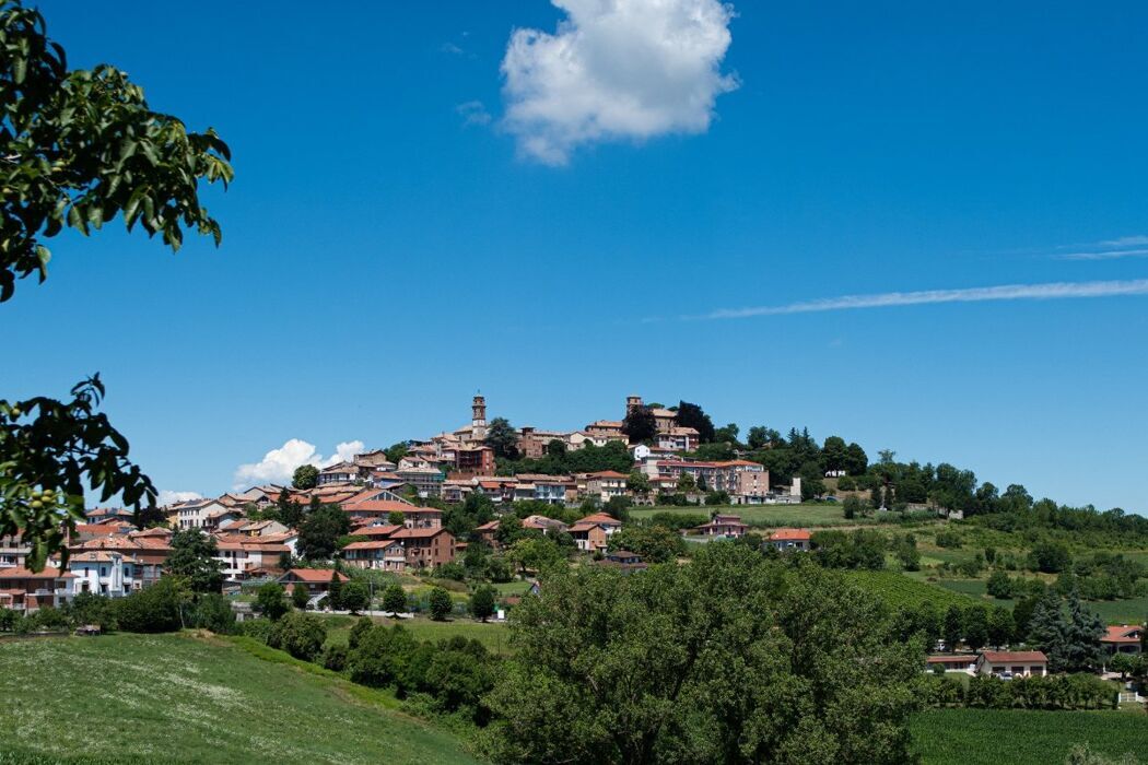 Scopri Montiglio: Escursione e Degustazione per il Bagna Cauda Day desktop picture