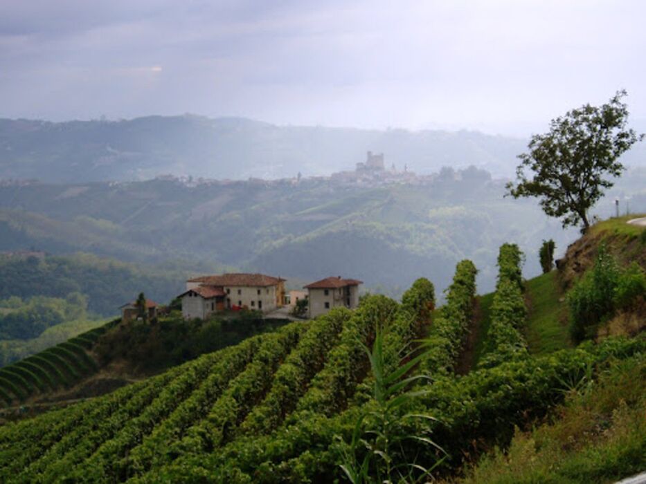 Escursione ad Anello in Alta Langa: Bubbio, Natura e Sapori Unici desktop picture