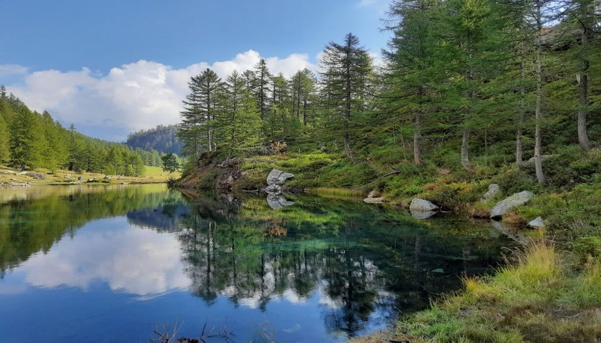 La Magia del Parco Naturale Alpe Devero desktop picture