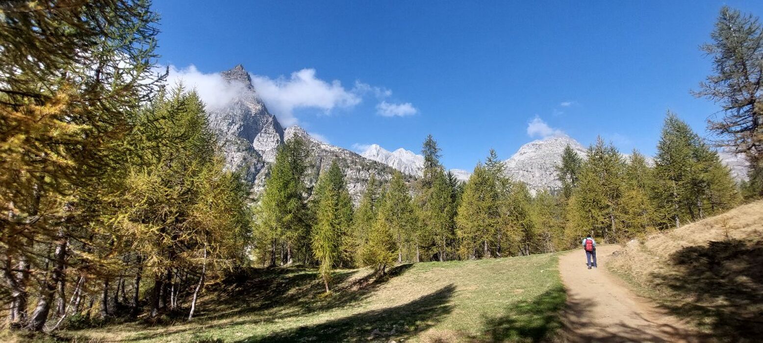 La Magia del Parco Naturale Alpe Devero desktop picture