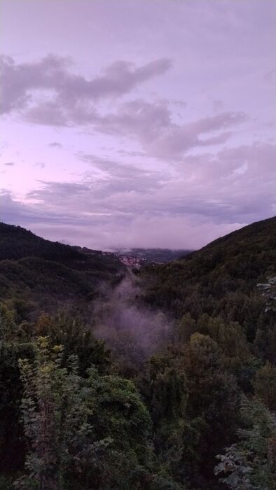 Escursione Autunnale nei boschi di Canedo: con Aperitivo e Merenda desktop picture