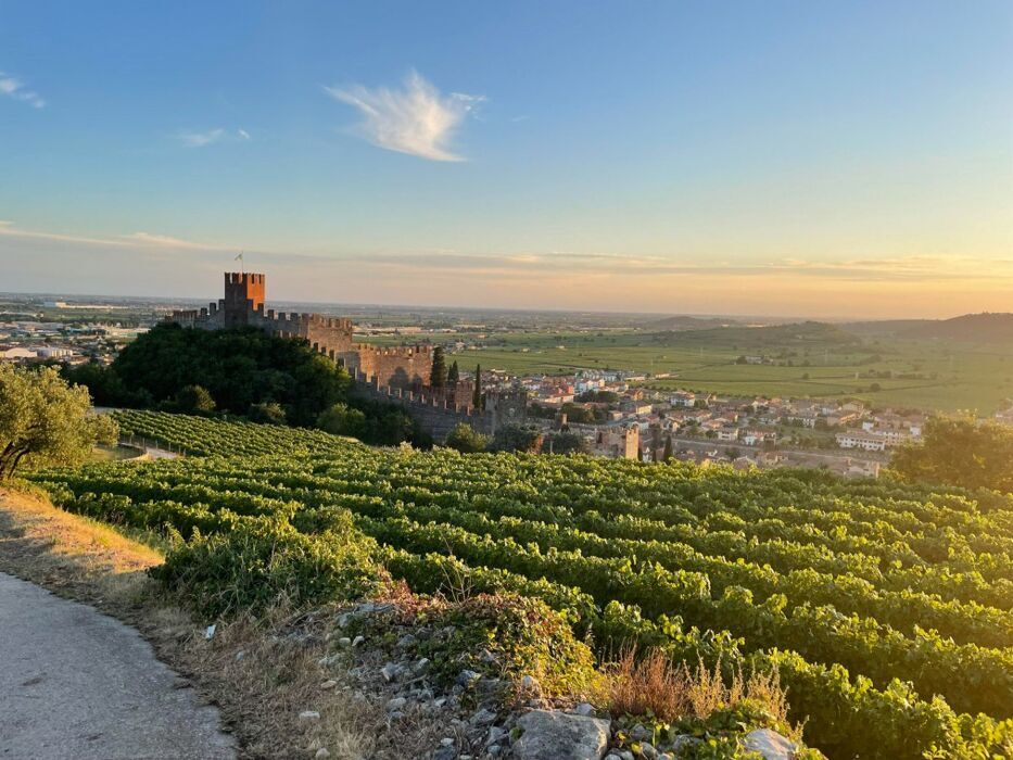 Monte Tenda e Castello di Soave: Escursione tra vigne, cipressi e merlature medievali desktop picture