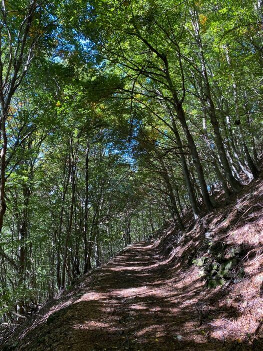 Escursione Storica e Naturale nell'Alta Valle Intelvi: trincee, faggi e contrabbandieri desktop picture