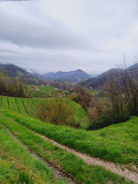 Foliage d’autunno: il suggestivo Molinetto della Croda con Agri-pranzo desktop picture