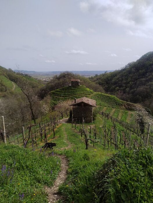 Foliage d’autunno: il suggestivo Molinetto della Croda con Agri-pranzo desktop picture