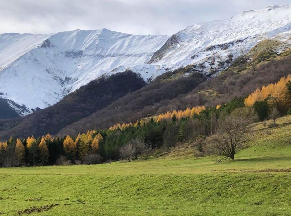 Altino e il Sentiero dei Mietitori: Estasi nel Parco dei Monti Sibillini (AP) (EVENTO GRATUITO CON CAUZIONE) Altino e il Sentiero dei Mietitori: Estasi nel Parco dei Monti Sibillini (AP) (EVENTO GRATUITO CON CAUZIONE) desktop picture