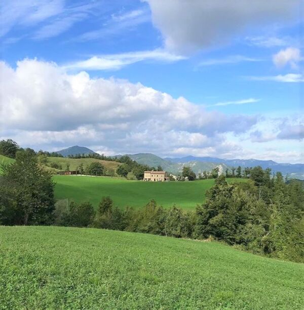 Event card Campigna, nel Parco Nazionale delle Foreste Casentinesi cover image