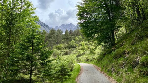 Event card Forni di Sopra: trekking ad anello ai piedi delle Dolomiti cover image