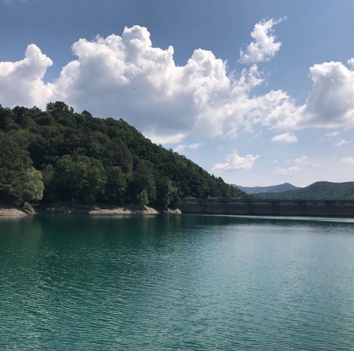Il Lago Brugneto: Tra Splendide Fioriture e Animali Rarissimi - Percorso Facile (GE) Il Lago Brugneto: Tra Splendide Fioriture e Animali Rarissimi - Percorso Facile (GE) desktop picture