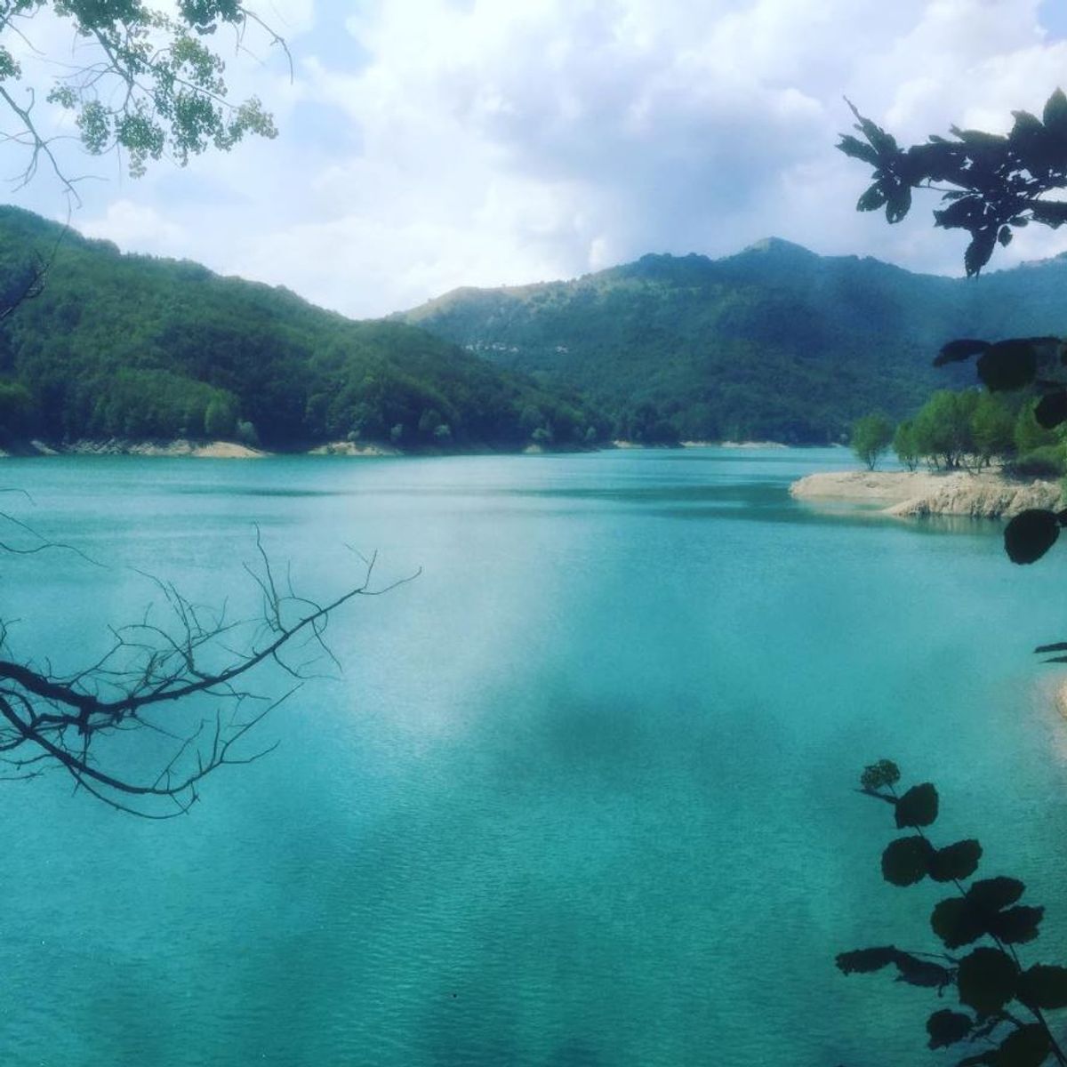 Il Lago Brugneto: Tra Splendide Fioriture e Animali Rarissimi - Percorso Facile (GE) Il Lago Brugneto: Tra Splendide Fioriture e Animali Rarissimi - Percorso Facile (GE) desktop picture