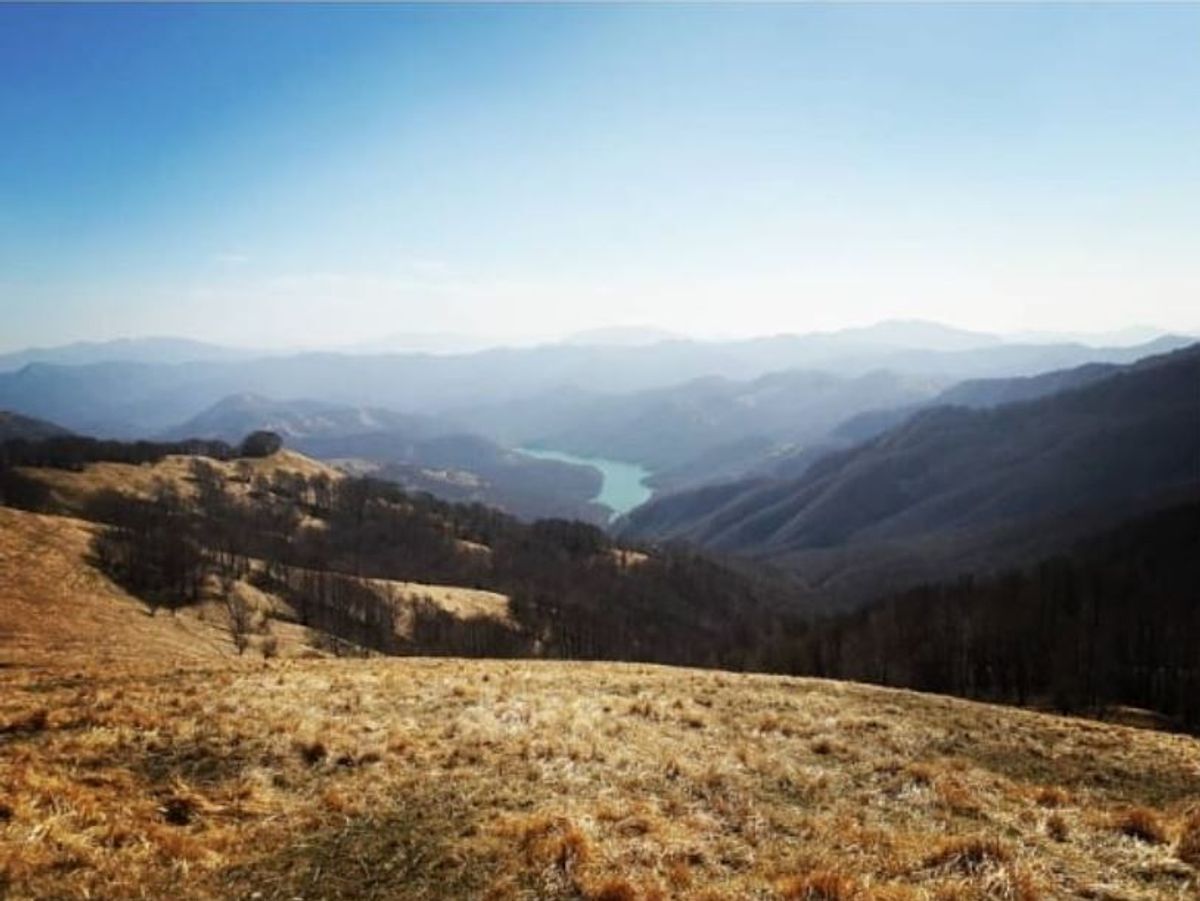 Il Lago Brugneto: Tra Splendide Fioriture e Animali Rarissimi - Percorso Facile (GE) Il Lago Brugneto: Tra Splendide Fioriture e Animali Rarissimi - Percorso Facile (GE) desktop picture