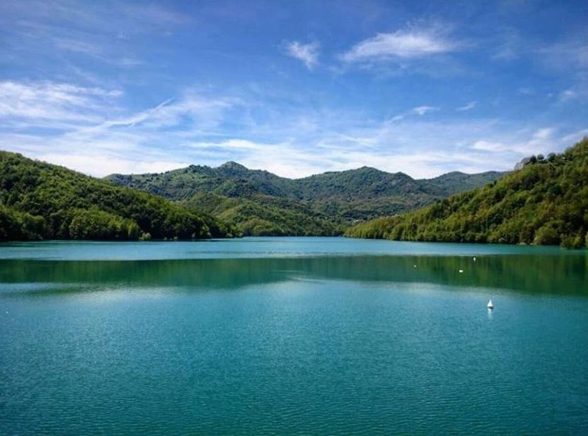 Il Lago Brugneto: Tra Splendide Fioriture e Animali Rarissimi - Percorso Facile (GE) Il Lago Brugneto: Tra Splendide Fioriture e Animali Rarissimi - Percorso Facile (GE) desktop picture