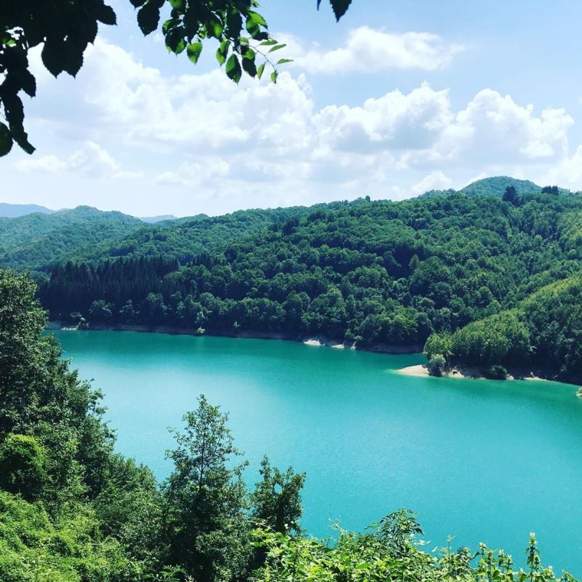 Il Lago Brugneto: Tra Splendide Fioriture e Animali Rarissimi - Percorso Facile (GE) Il Lago Brugneto: Tra Splendide Fioriture e Animali Rarissimi - Percorso Facile (GE) desktop picture