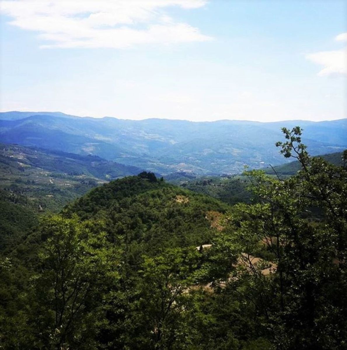 Monte Giovi: Un Pezzo di Paradiso a Due Passi da Firenze (FI) Monte Giovi: Un Pezzo di Paradiso a Due Passi da Firenze (FI) desktop picture
