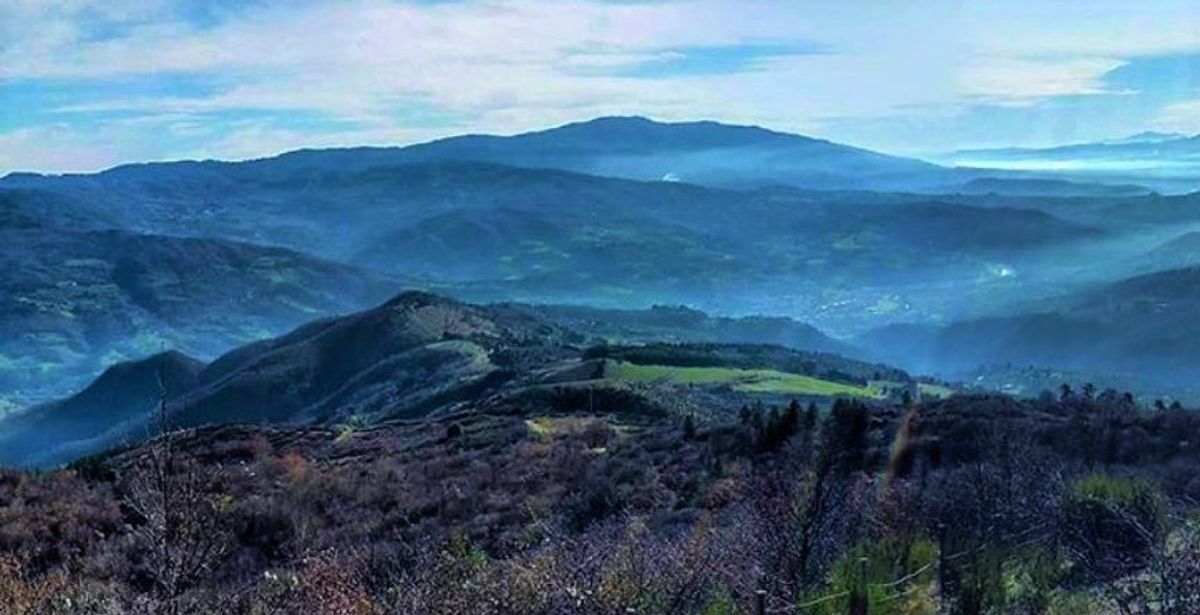 Monte Giovi: Un Pezzo di Paradiso a Due Passi da Firenze (FI) Monte Giovi: Un Pezzo di Paradiso a Due Passi da Firenze (FI) desktop picture