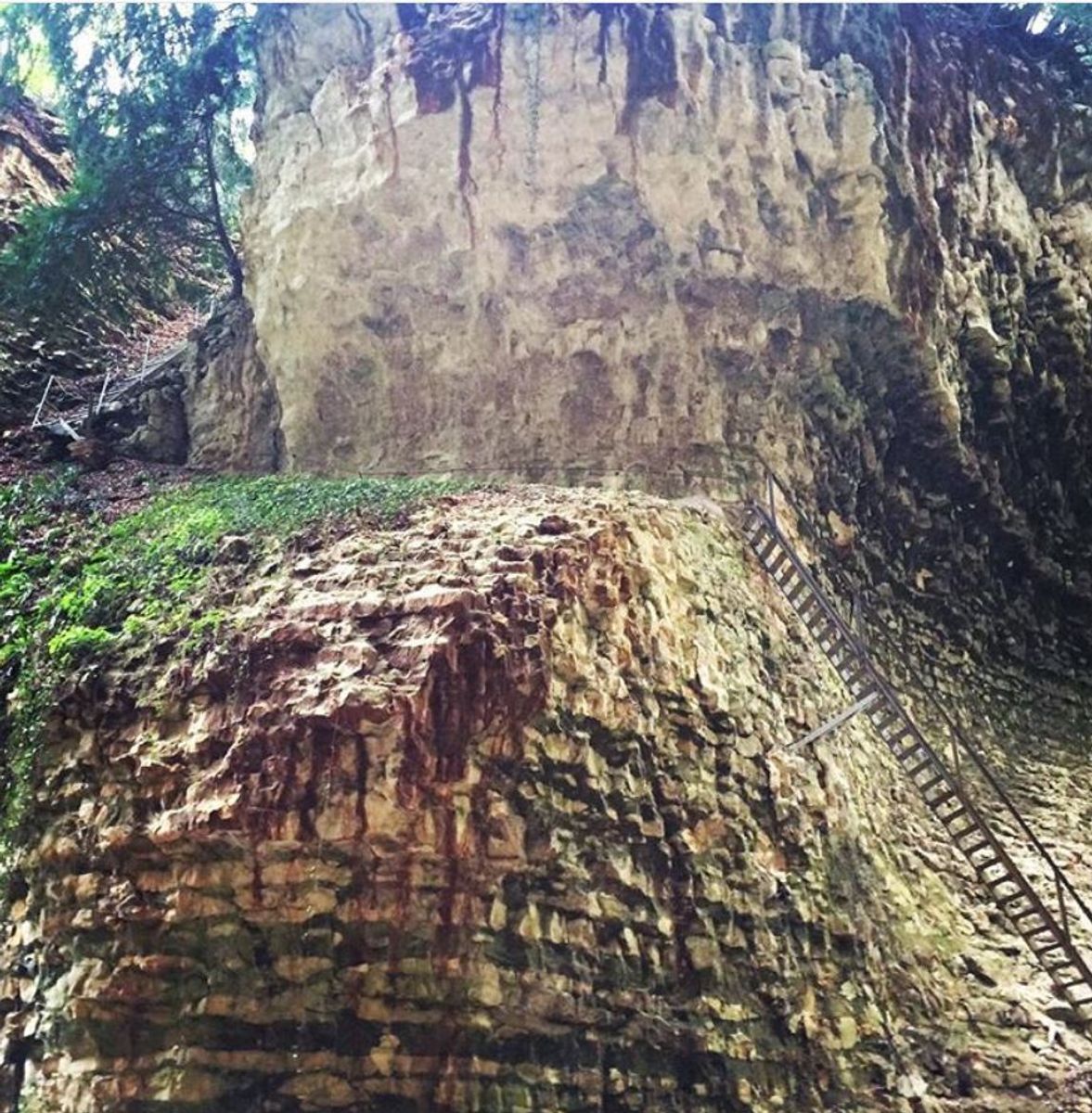 La Forra di Vajo Borago, il Canyon Millenario (VR) La Forra di Vajo Borago, il Canyon Millenario (VR) desktop picture