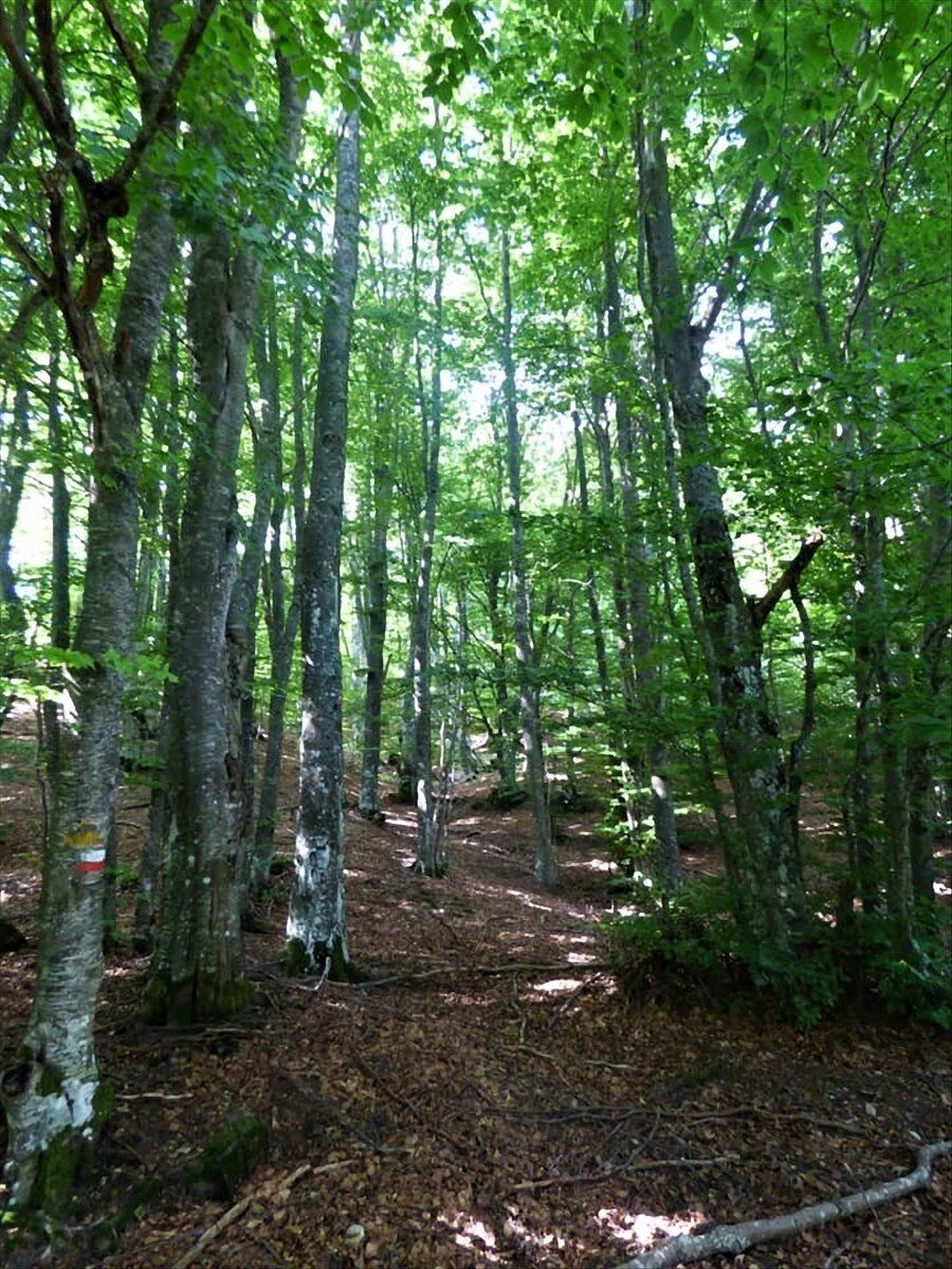 Il Monte Ebro: Trekking con vista dall'Appennino del Nord Il Monte Ebro: Trekking con vista dall'Appennino del Nord desktop picture