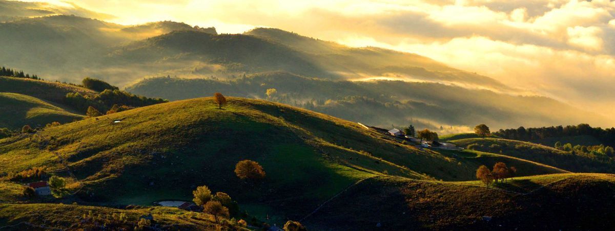 La Foresta del Cansiglio: il Bosco dei Cervi (BL) La Foresta del Cansiglio: il Bosco dei Cervi (BL) desktop picture