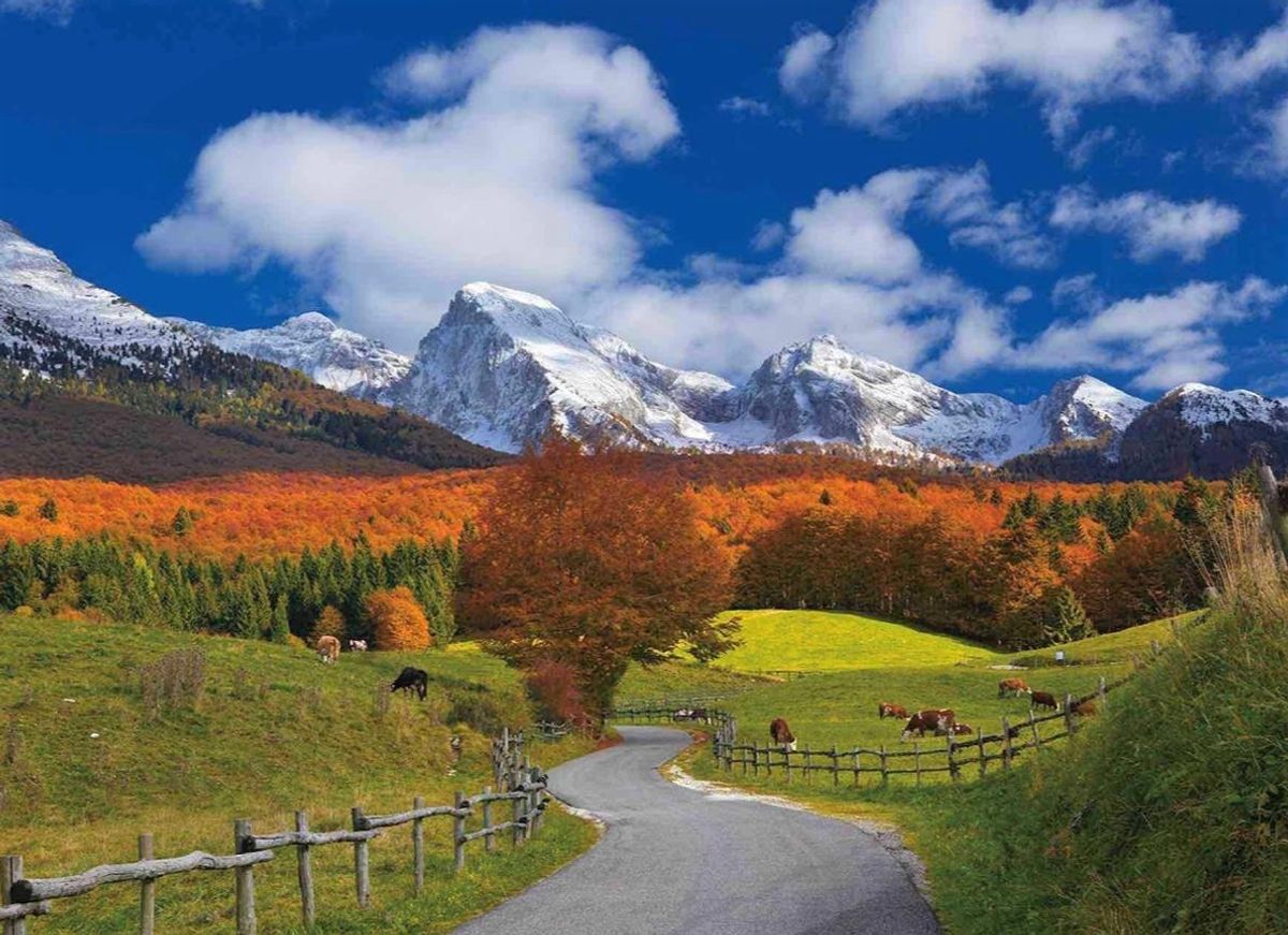 La Foresta del Cansiglio: il Bosco dei Cervi (BL) La Foresta del Cansiglio: il Bosco dei Cervi (BL) desktop picture