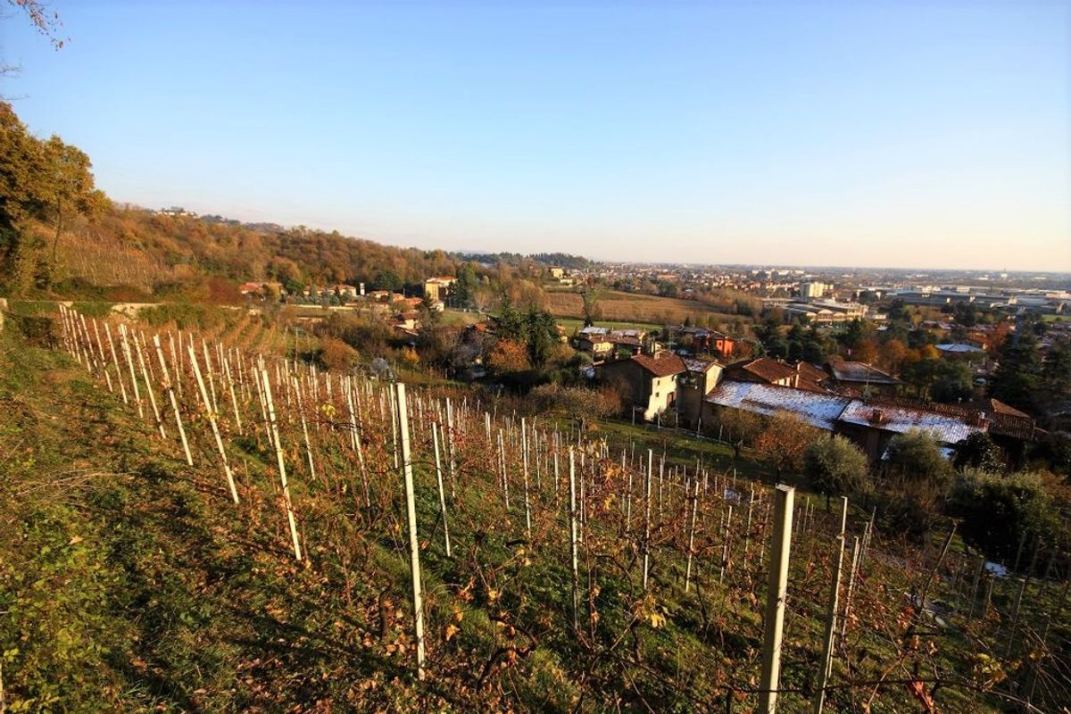 Nei Colli Bergamaschi: Mozzo, Dal Borghetto al Monte Gussa (BG) Nei Colli Bergamaschi: Mozzo, Dal Borghetto al Monte Gussa (BG) desktop picture