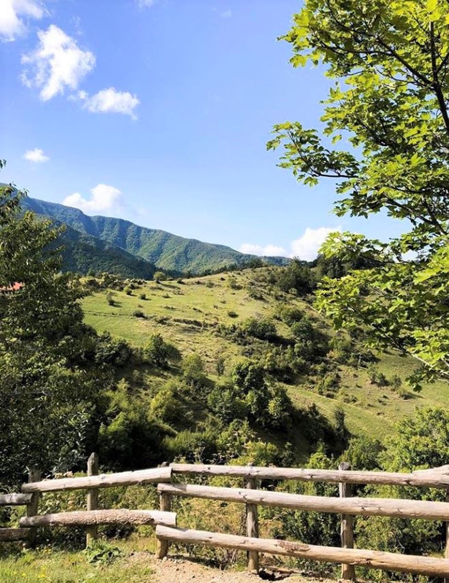 Campigna, nel Parco Nazionale delle Foreste Casentinesi Campigna, nel Parco Nazionale delle Foreste Casentinesi desktop picture